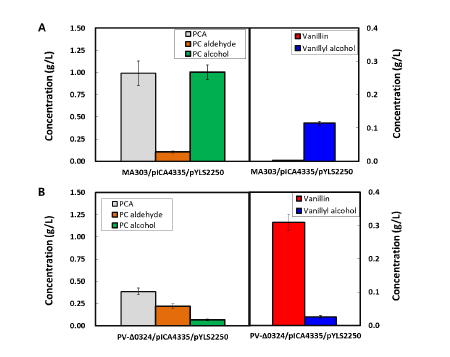 NCgl0324결손에 의한 vanillin 및 vanillyl alcohol 생산비교