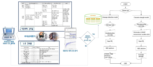 진단플랫폼의 시스템 및 알고리즘