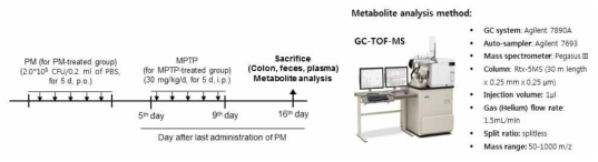 Experimental scheme 및 대사체 분석 방법(GC-TOF-MS)