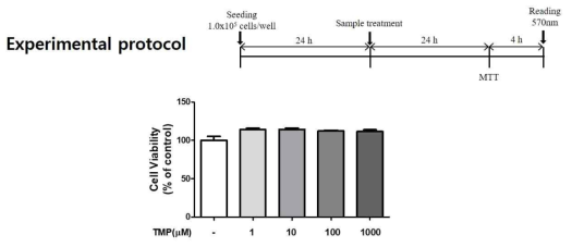 STC-1 장세포에서 TMP의 세포 사멸 유도 확인 결과