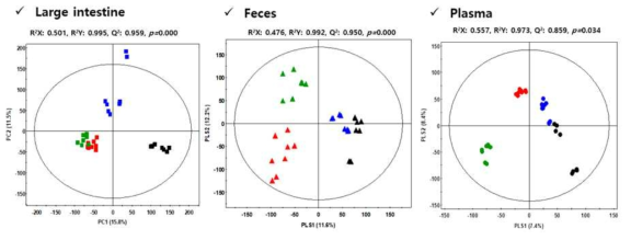 시료별 PLS-DA 분석 결과