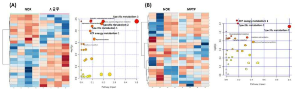 파킨슨병 마우스 혈장에서 변화된 대사 경로 (A; A 균주, B; MPTP)