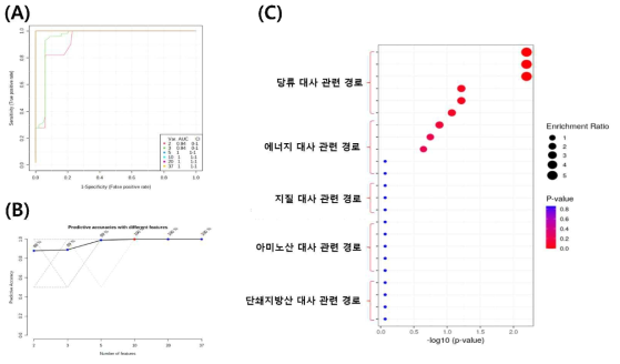 혈장 샘플 내 metabolite간 biomarker prediction analysis 결과