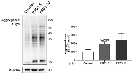 PSD3 유도 장내분비세포에서 α-syn 응집 유도 결과