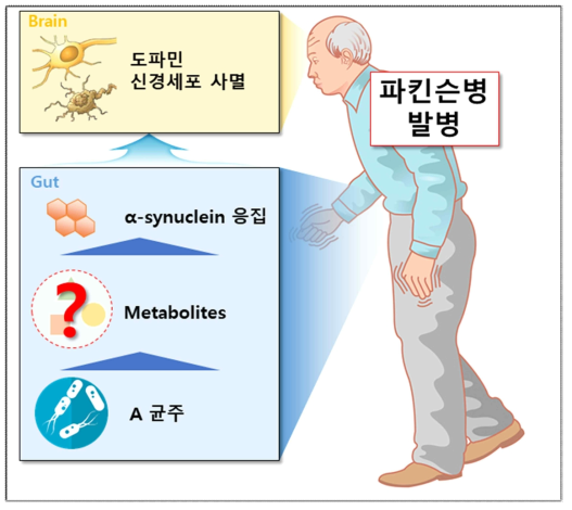 연구 과제 개요