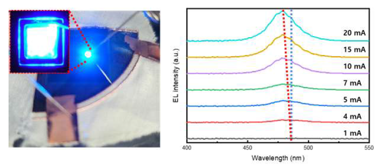 (왼쪽) 디바이스 발광 이미지, (오른쪽) 인가 전류별 wavelength 변화 그래프