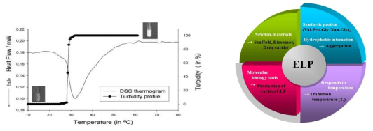 ELP의 상전이 특이성 및 물질적 특성