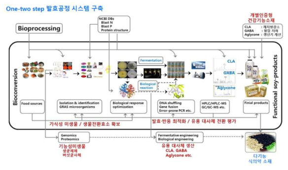 복합생균제제 유산발효 기술 이용 다기능 식∙의약소재 개발 방안