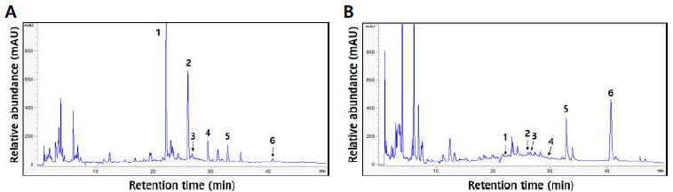 상용 효소처리에 따른 콩잎의 isoflavone HPLC 크로마토그램. A, 열수추출물과 B, 효소처리물