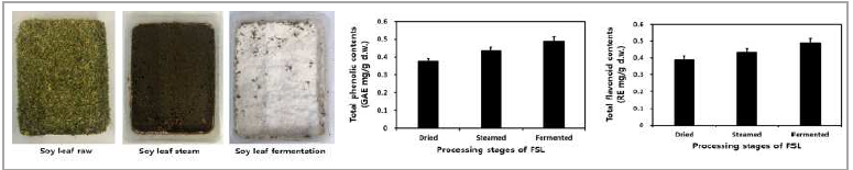 송이버섯 균사체를 이용한 콩잎 가공단계별 사진 및 총 phenolics와 총 flavonoids 함량 변화