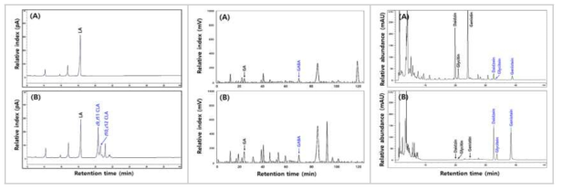 CLA, GABA, isoflavone의 GC, AAA 및 HPLC 크로마토그램