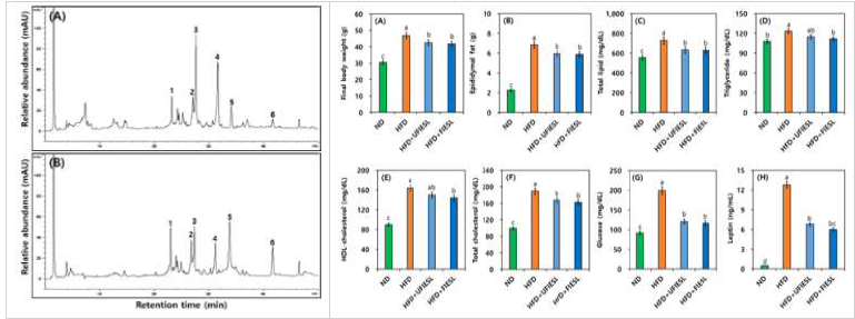 복합생균제제 유산균 이용 콩잎 발효물 이소플라본 크로마토그램 및 비만 바이오마커 분석. (A) 발효 전, (B) 발효 후 콩잎발효물