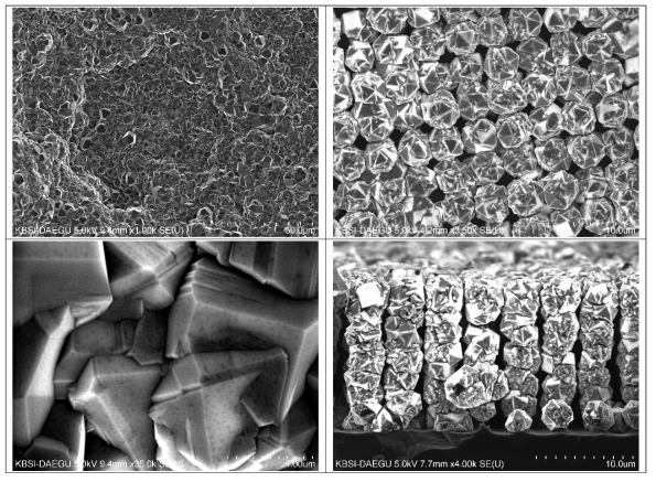 (좌) BDD planar 전극의 SEM image, (우) BDD wire 전극의 SEM image