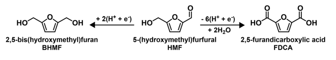 HMF로부터 BHMF, FDCA로의 전기화학적 전환 반응