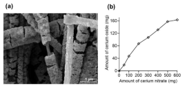 (a) Nanoceria layer covering the nanofiber surface, as revealed by hand-breaking the nanofiber scaffold. (b) Amount