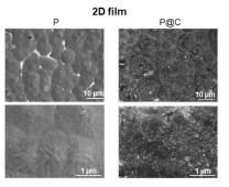 SEM images of the 2D film surfaces (P and P@C). Images are supportive for Fig. 1b