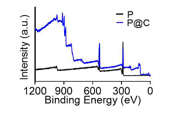 XPS analysis of P and P@C nanofibers on full-range scanning