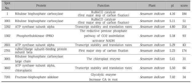 MALDI-TOF/TOF에 의한 참깨 잎의 단백질 spot과 동정 목록