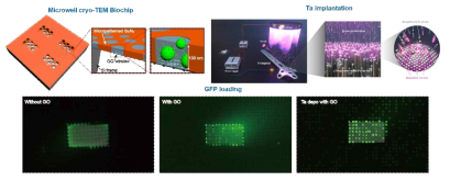 cryo-TEM 바이오칩 표면 개질
