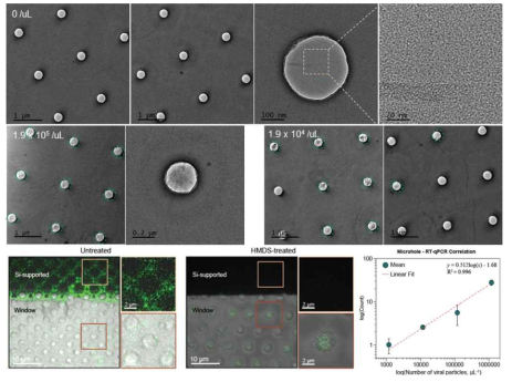 표면처리 나노웰 디바이스를 활용한 바이러스 정량화