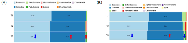 Compositions of each gut microbiota at the (A) phylum and (B) class level. 1) T1: 9 weeks mice; 2) T2: 24 weeks mice; 3) T3: 48 weeks elderly mice