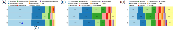 Compositions of each gut microbiota at the (A) order, (B) family and (C) genus level. 1) T1: 9 weeks mice; 2) T2: 24 weeks mice; 3) T3: 48 weeks elderly mice