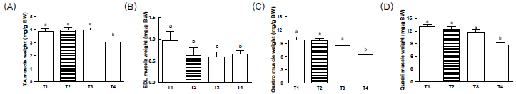 Reduced muscle weight in mice. (A) Tibialisanterior(TA), (B) Extensor digitorumlongus(EDL), (C) Gastrocnemius(Gastro), (D) Quadriceps(Quadri). a-bMeans with different superscripts in the treatment groups (T1-T4) differ significantly (p < 0.05)