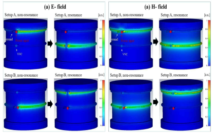 Simulation result of (a) E-field and (b) H-field