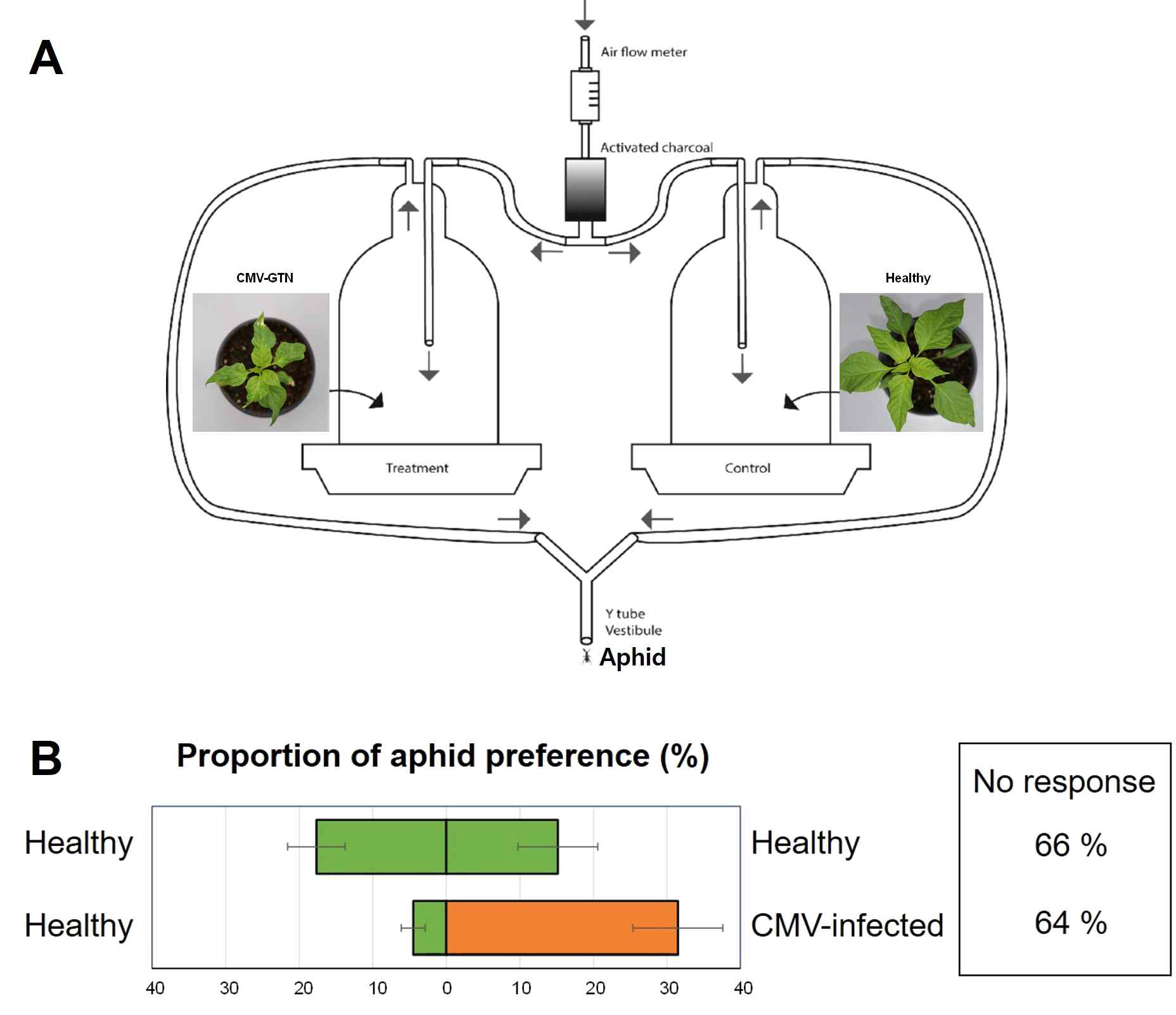 (A) Y-tube olfactometer를 이용한 Aphid Preference Test의 모식도. (B) 건전한 고추(Healthy) 대 CMV 감염 고추 에 대한 진딧물의 Preference 결과