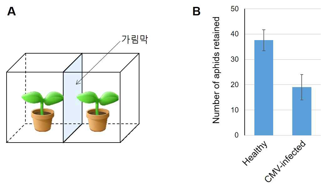 CMV 감염 고추에서의 Contact cue에 따른 진딧물의 섭식 행동 변화 분석