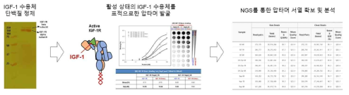 1차 년도 연구진행 과정 및 결과 요약