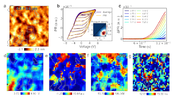 (a) the topography inside which piezoresponse was measured, fitting results of (b) the average piezoresponse by GMPM and (c) descending branches of FORCs by IFM, and mappings of (d) coercivity center oC, (e) moving coefficient Cmov, (f) activation voltage Va, and (g) characteristic time constant t0