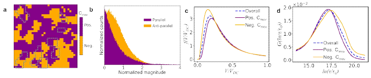 (a) Binary mapping of Cmov showing only positive and negative values, (b) statistics of the normalized magnitude of interaction field in the phase-field model, and distributions of (c) local electric field and (d) switching time in different regions