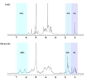GG 및 MAGG의 1H NMR