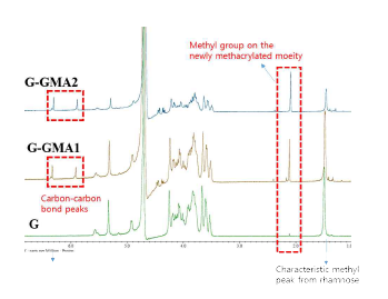 젤란검과 GGMA의 1H-NMR 분석 결과