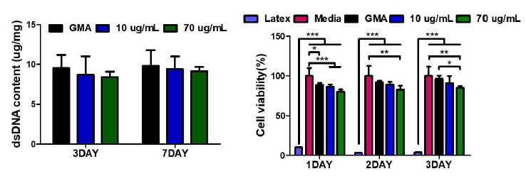 MA, 10μg/ml와 70μg/ml GMA하이드로겔 dsDNA함량 및 초기 세포 증식 확인