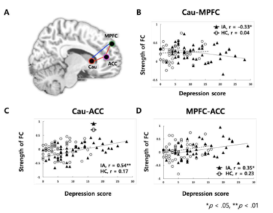 Frontostriatal 영역의 뇌기능 연결성과 우울점수 간의 상관