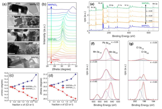 (a) 합성된 MAPbX3 (X=Cl, Br, I) 나노결정의 TEM 이미지와 (b) XRD 패턴. (c, d) 할로겐 음이 온 조성의 변화에 따라 결정 성장 면 간 거리의 변화를 보여주는 그래프 (MAPbX3:Cl-Br 또는 Br-I). (e) 전이금속 양이온(Mn)의 도핑을 확인할 수 있는 XPS 결과. (f, g) Mn 도핑에 따른 XPS 픽의 변화