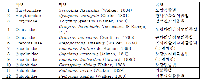 혹벌의 혹에 기생하는 국내 좀벌상과 곤충 목록