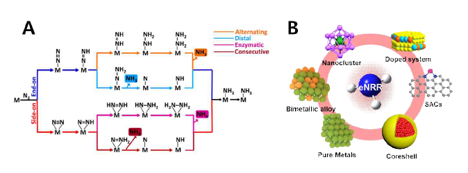 A. eNRR의 서로 다른 반응 경로 모식도[10] B. eNRR용 전기촉매로 활용 가능한 나노구조
