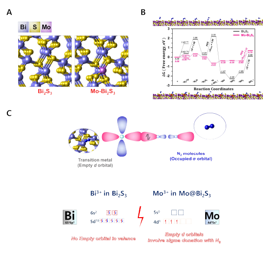 A. Bi-계 시스템에 대한 전산과학 모델 B. 서로 다른 두 소재의 전기화학적 N2 환원 반응의 반응에너지 그림 C. N2와 Bi 원자의 시그마 donation 메커니즘과 Bi와 Mo 원소의 전자배치도