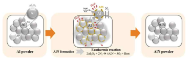 Al 분말이 AlN으로 전환되는 과정을 보이는 모식도