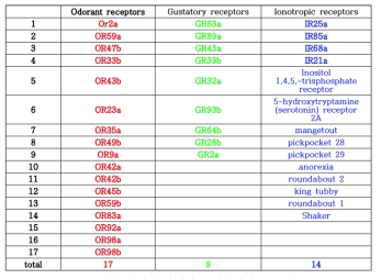 초파리 장에서 발현되는 화학감각 수용체들