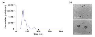 (a) 지방 줄기세포 유래 엑소좀의 NTA 분석 결과, (b) TEM을 이용한 지방 줄기세포 유래 엑소좀 형태 분석 결과