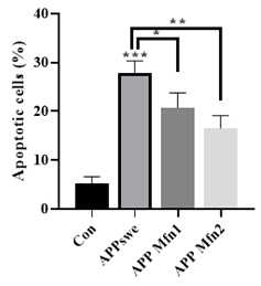 Annexin V& PI 염색으로 apoptosis 확인
