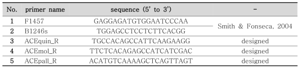 ace2 gene 증폭을 위한 프라이머 및 본 연구에서 디자인한 프라이머