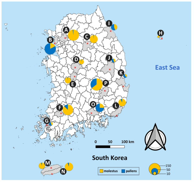 국내 Culex pipiens complex의 종 분포. A. 서울; B. 인천; C. 원주; D. 청주; E. 대전; F. 광주; G. 목포; H. 울릉도; I. 강릉; J. 안동; K. 포항; L. 부산; M. 제주; N. 서귀포; O. 진주; P. 대구