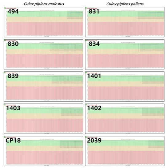 Per base sequence quality 결과