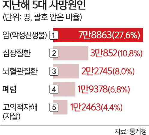 2017년 한국인의 사망 원인