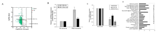 저농도로 장기간 미세먼지 노출된 BEAS-2B 세포 엑소좀내에 발현 변화된 miRNA 및 miR-196b-5p에 의해 변화하는 KEGG pathway분석. 발현변화된 miRNA들의 volcano plot(A), 발현이 증가한 miRNA의 qRT-PCR(B), 발현이 감소한 miRNA의 qRT-PCR(C), miR-196b-5p에 의해 변화하는 KEGG pathway분석(D)